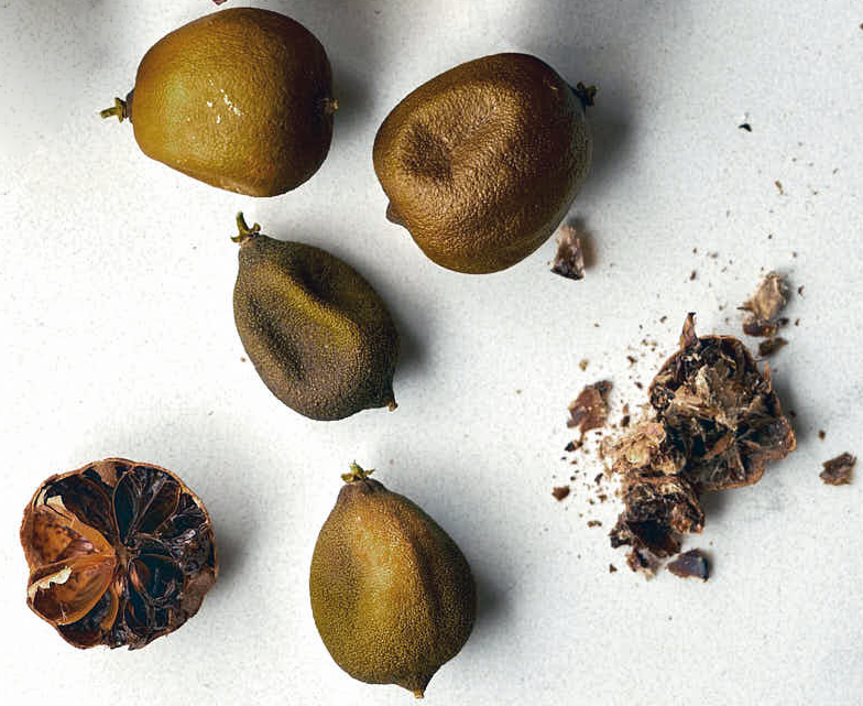 Persian dried limes against a white background with one split in half and one smashed