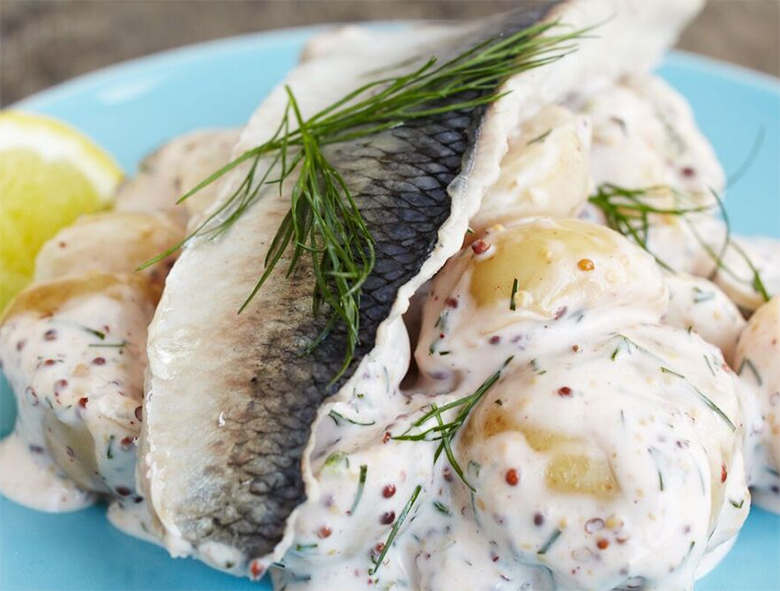 quick-pickled herring fillet served on a bed of dressed potatoes