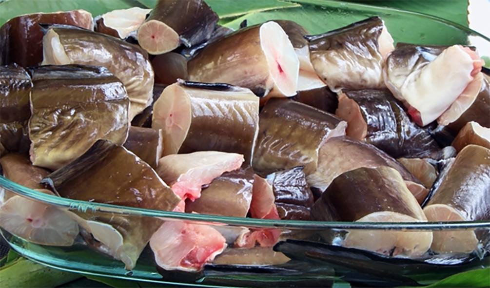 eel pieces prepared for cooking