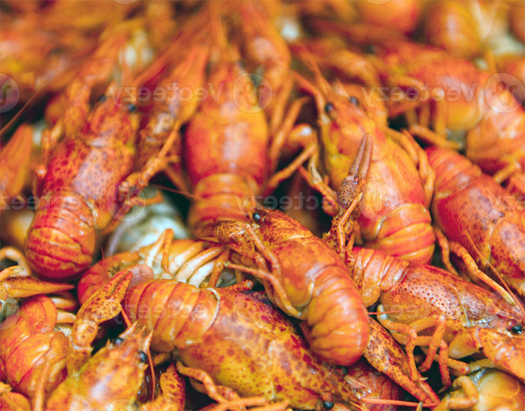 boiled crayfish mounded on a dish