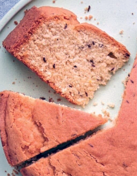 wedges of sponge cake with caraway seeds, one vertical and one on its side