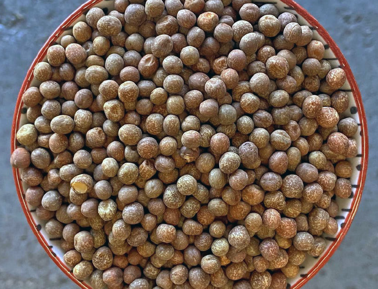roasted carlin peas in a bowl