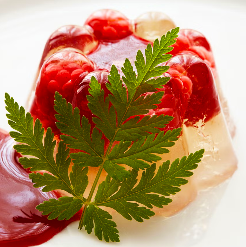 sweet cicely jelly with raspberries set in the base inverted on a plate and served with a sweet cicely leaf and raspberry coulis
