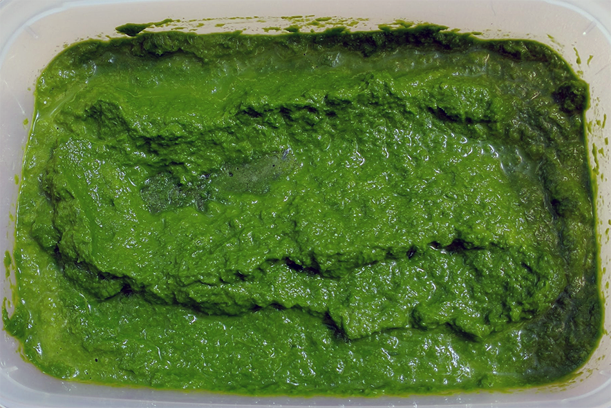 three-cornered leek puree spread in the base of a plastic box