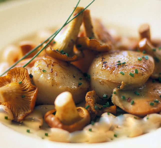 chanterelle and king scallop salad served on a plate with a fish stock, vermouth, scallop roe and cream sauce