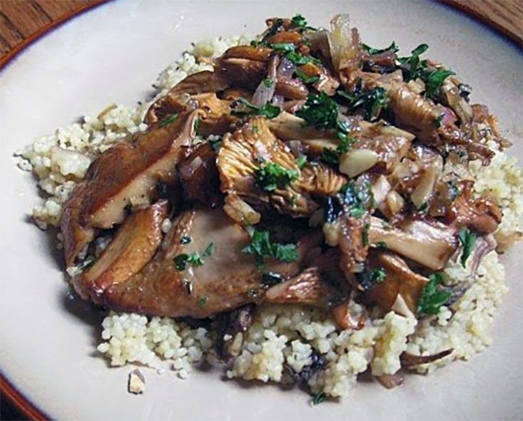 mushroom ragout served on a bed of couscous on a white plate