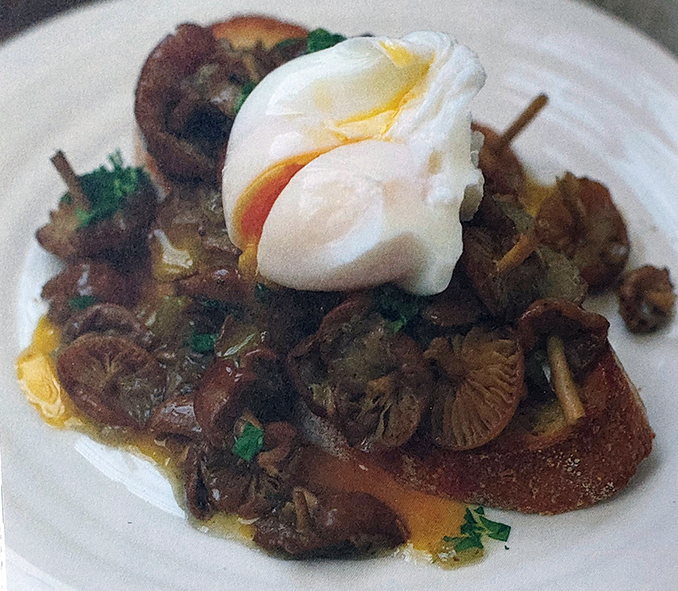 fried fairly ring champignon served on toast and topped with a split open poached egg