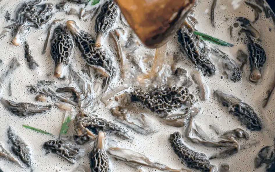 sauce of morel mushrooms and spring onions in a wine and double cream sauce stirred with a wooden spoon in a pan