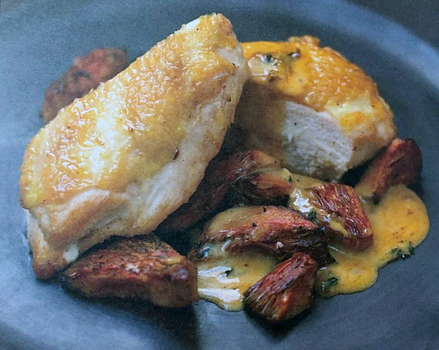 one and a half chicken breasts on top of fried saffron milk cap mushrooms and a saffron milk cap ragout