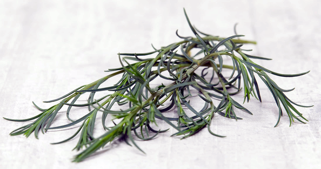 sea blite fronds ready for blanching