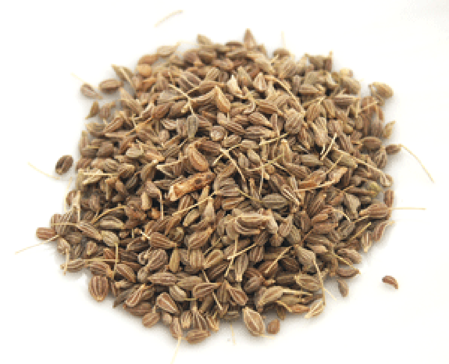 Pile of aniseed (anise seeds)