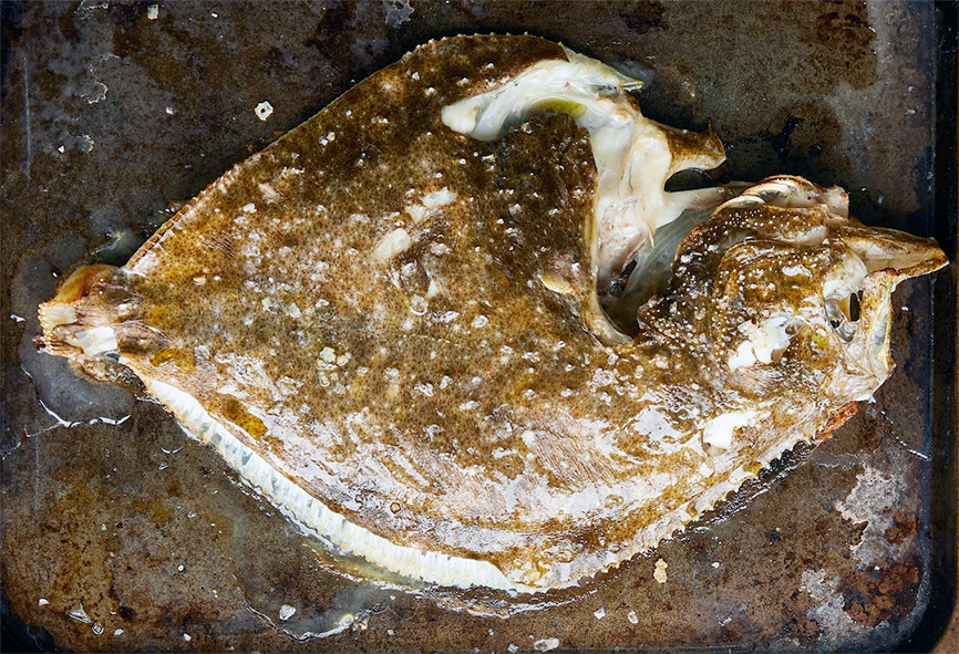 whole baked turbot on a baking tray