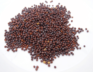 Black Mustard Seeds