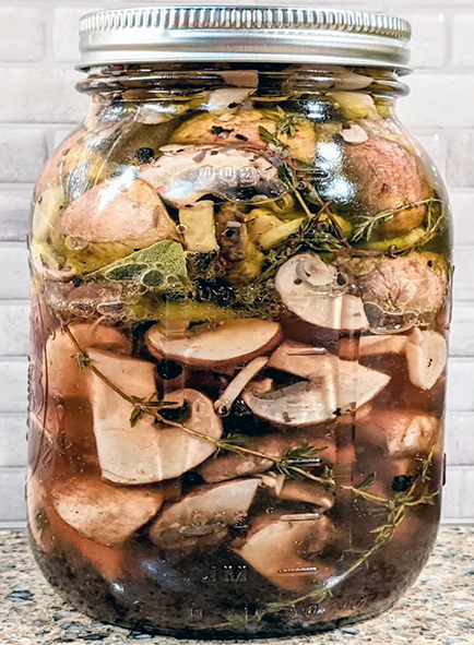 brine-pickled mushrooms in a jar with herbs