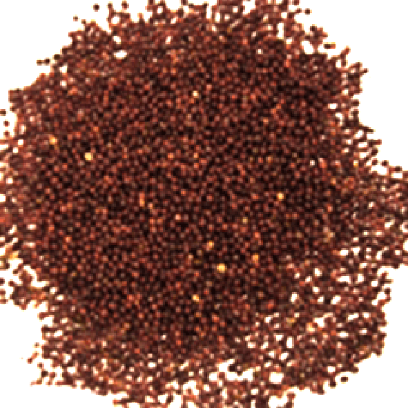 Brown Mustard Seeds