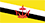 The flag of Brunei.