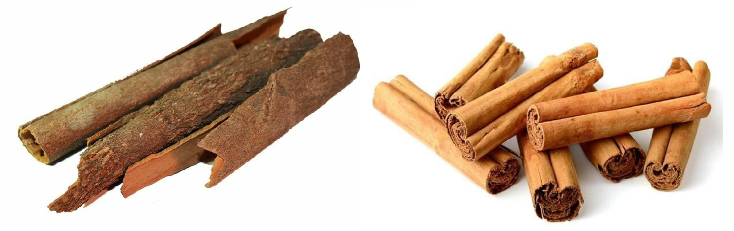 Cassia bark and cinnamon quills.