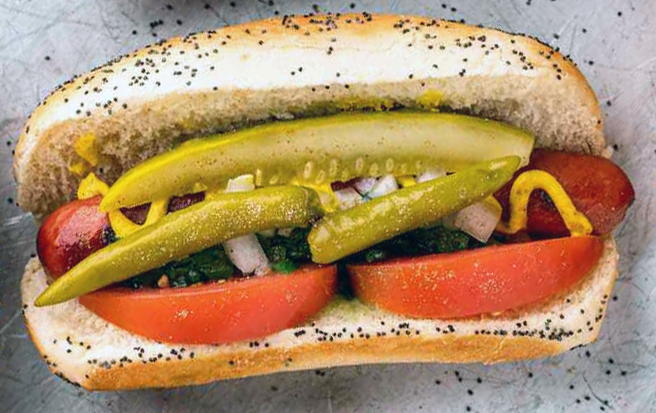 single Chicago-style hot dog