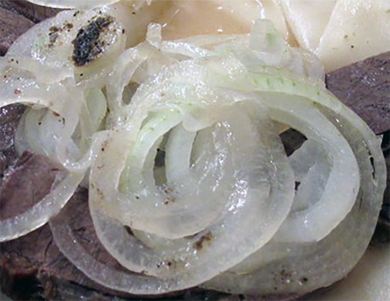 Boiled sliced onions served on a bed of meat