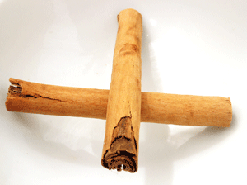 Two crossed cinnamon quills