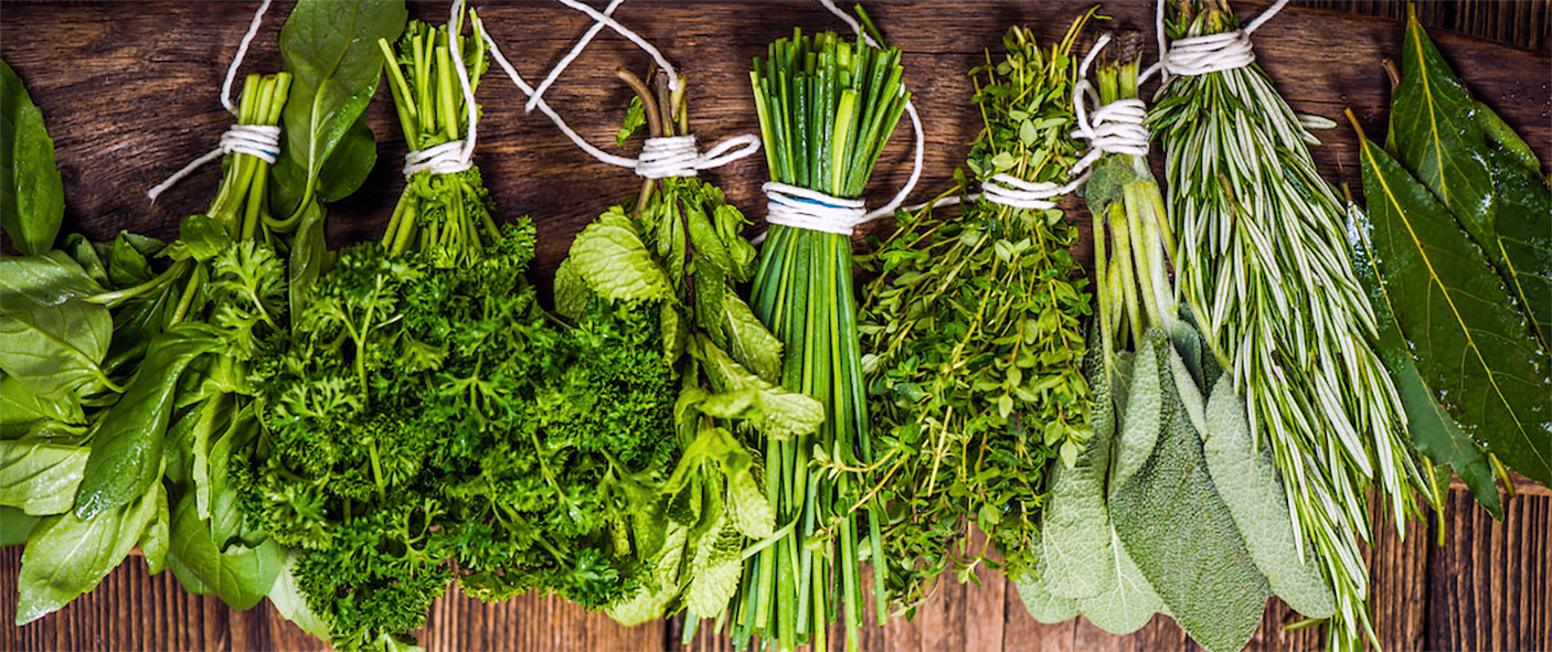 collection of culinary herbs, ready for drying
