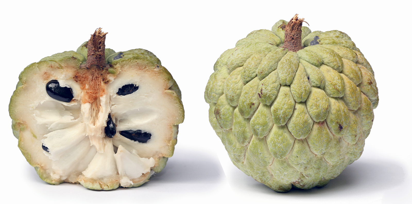 Custard apple, the fruit of <em>Annona squamosa</em> showing a whole fruit and a fruit split open.