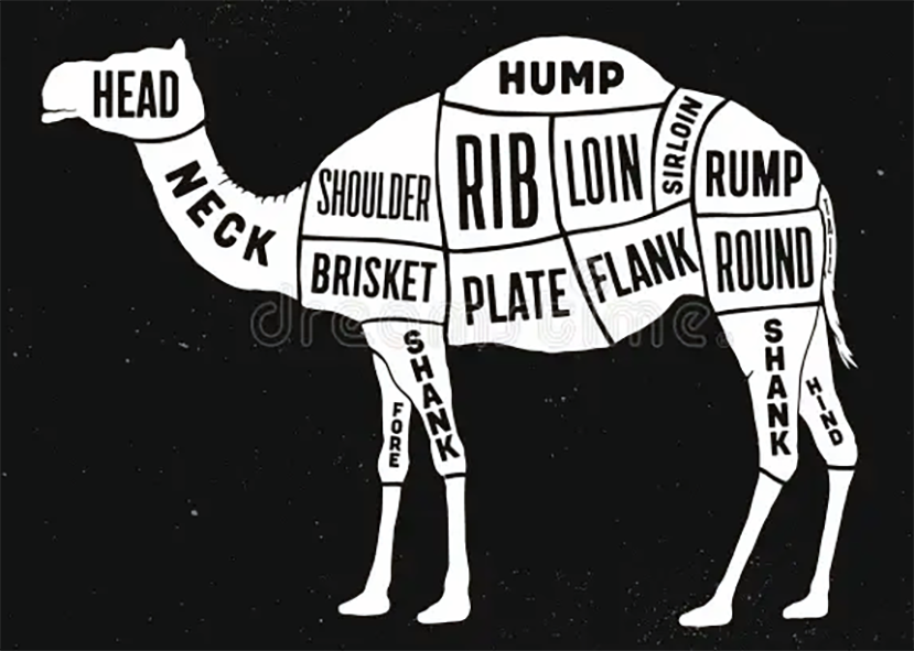 Cuts of Camel.