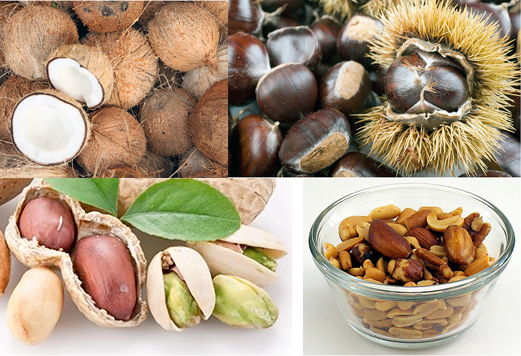 Different nuts: coconut, sweet chestnuts, peanuts, pistachios, bowl of mixed nuts.