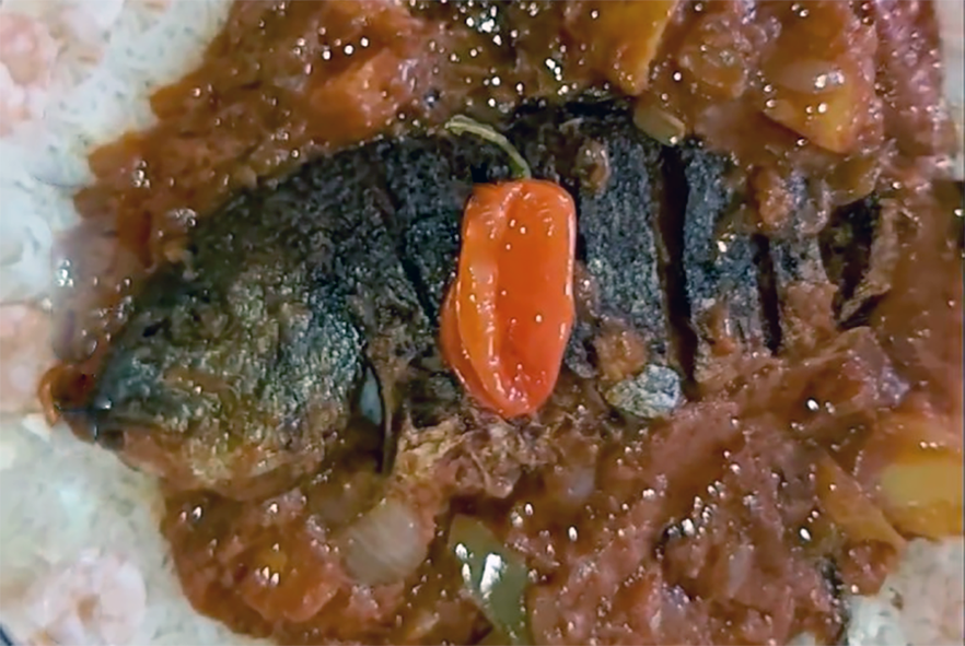 whole domoda fish served on a bed of rice with sauce and a whole chilli garnish
