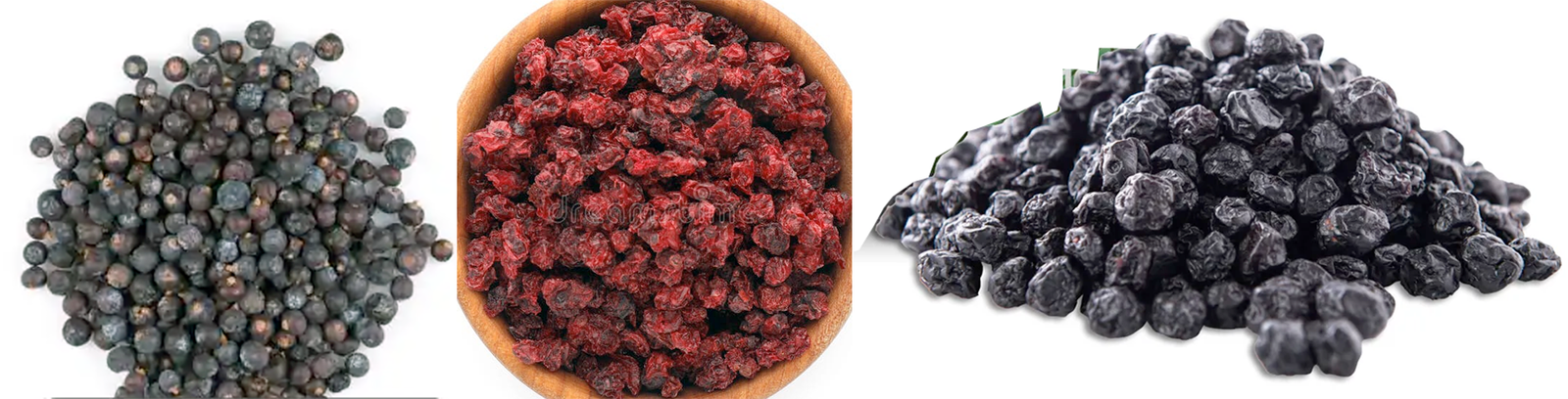 dried currants, dried redcurrants and dried blackcurrants