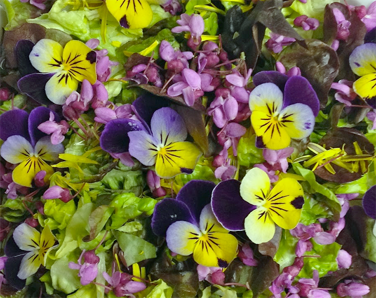 pile of edible flowers mounded on a plate