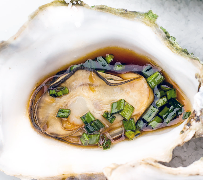Oyster in brown sauce served in the oyster shell