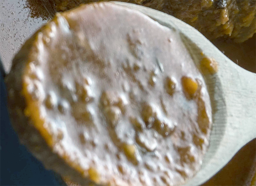 Genoese sauce presented on a spoon