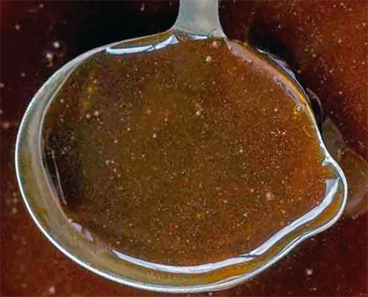 Francatelli's ham sauce presented in a ladle