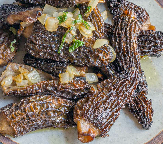 fried morels on a plate with a garnish of fried onions