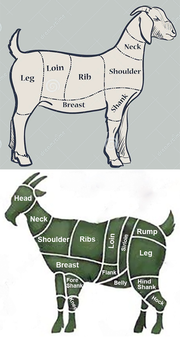Typical cuts of goat meat.