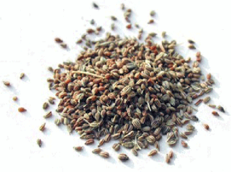 Pile of ajwain seeds