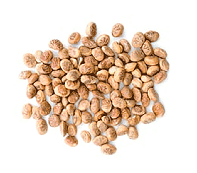 Chironji seeds