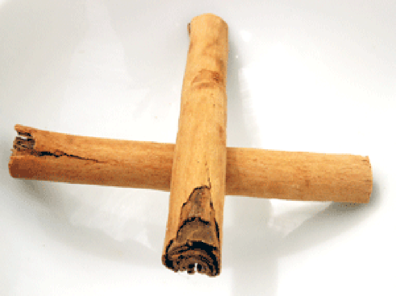 two crossed cinnamon sticks