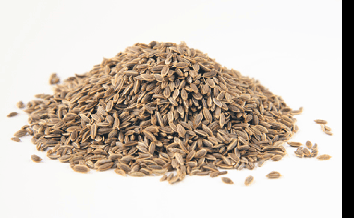Pile of dill seeds