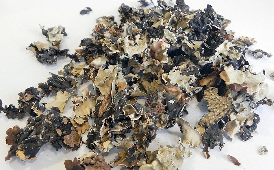 Dried black stone flower spice.