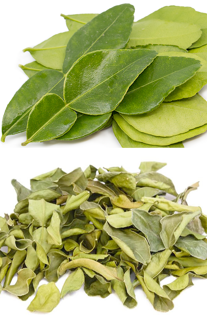 fresh and dried kaffir lime leaves
