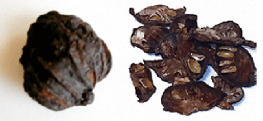whole dried kokam and pieces of kokam flesh