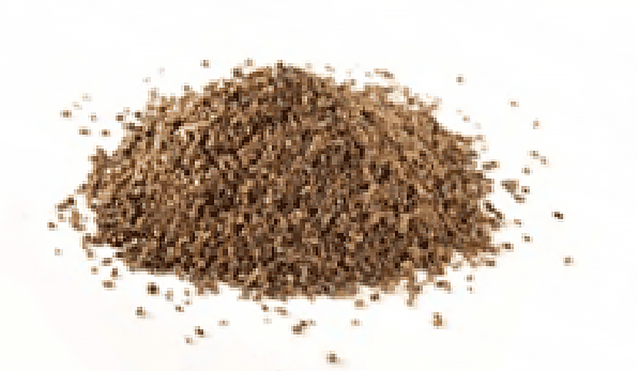 pile of lovage seeds