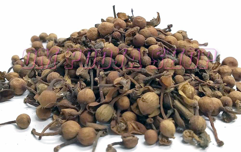 Pile of dried nagkesar (cobra saffron) seeds