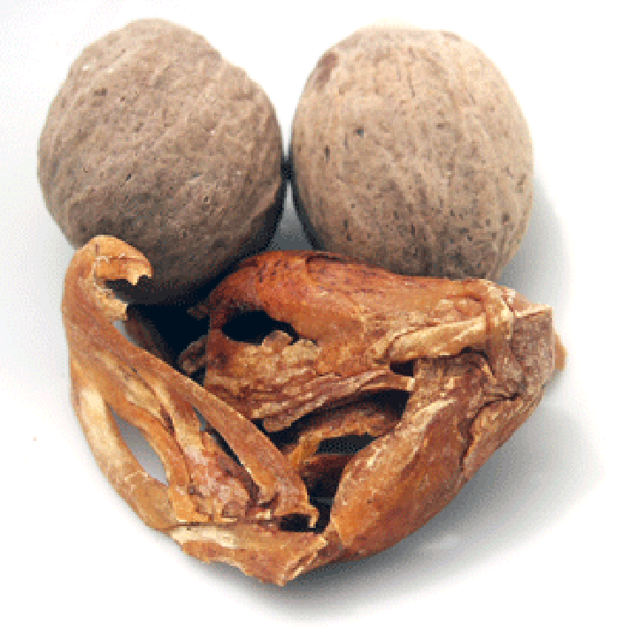 two whole nutmegs and a blade of mace