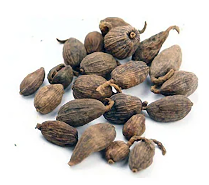 red-tsaoko-chinese-black-cardamom