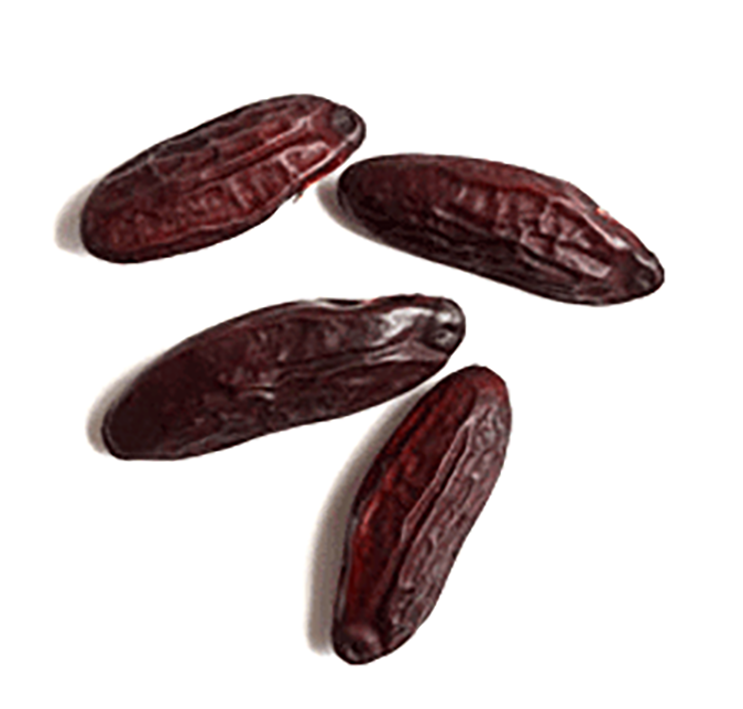 Tonka beans