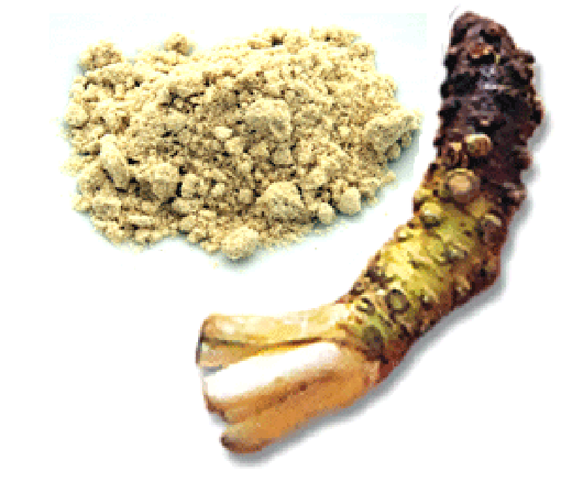 Wasabi stem and dried wasabi powder