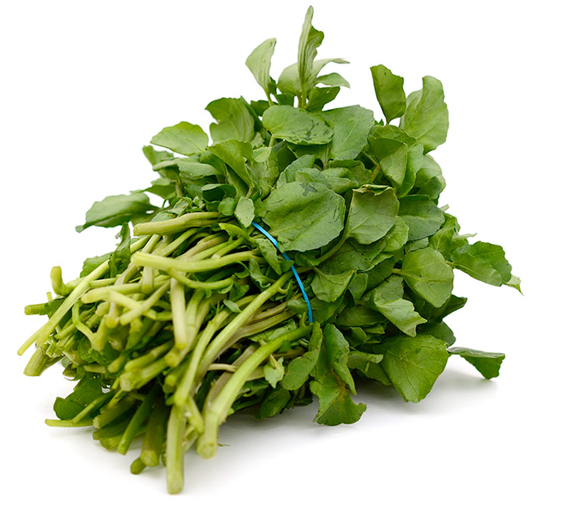 Bunch of watercress